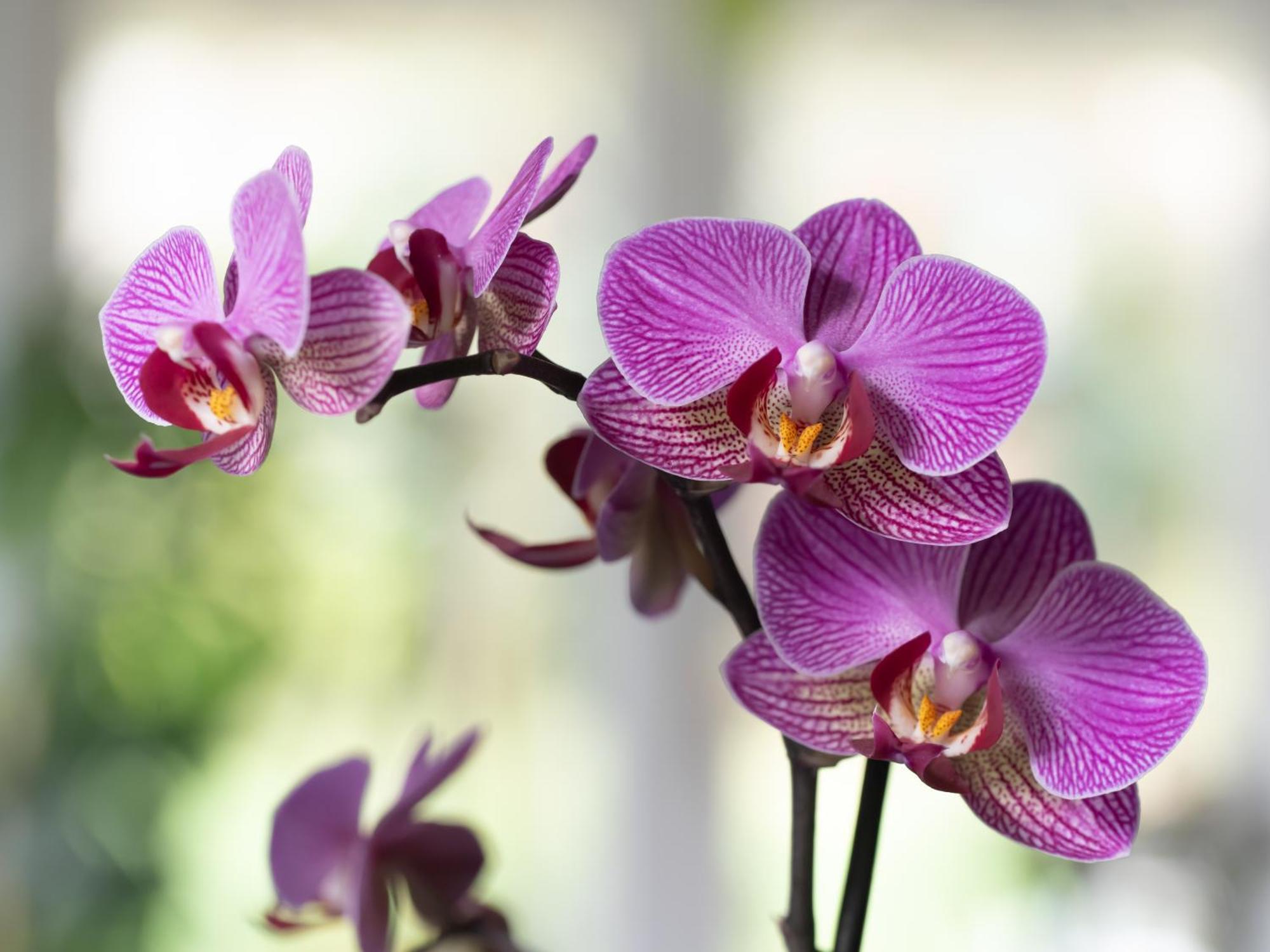 Wildwood B&B Lymington Ngoại thất bức ảnh