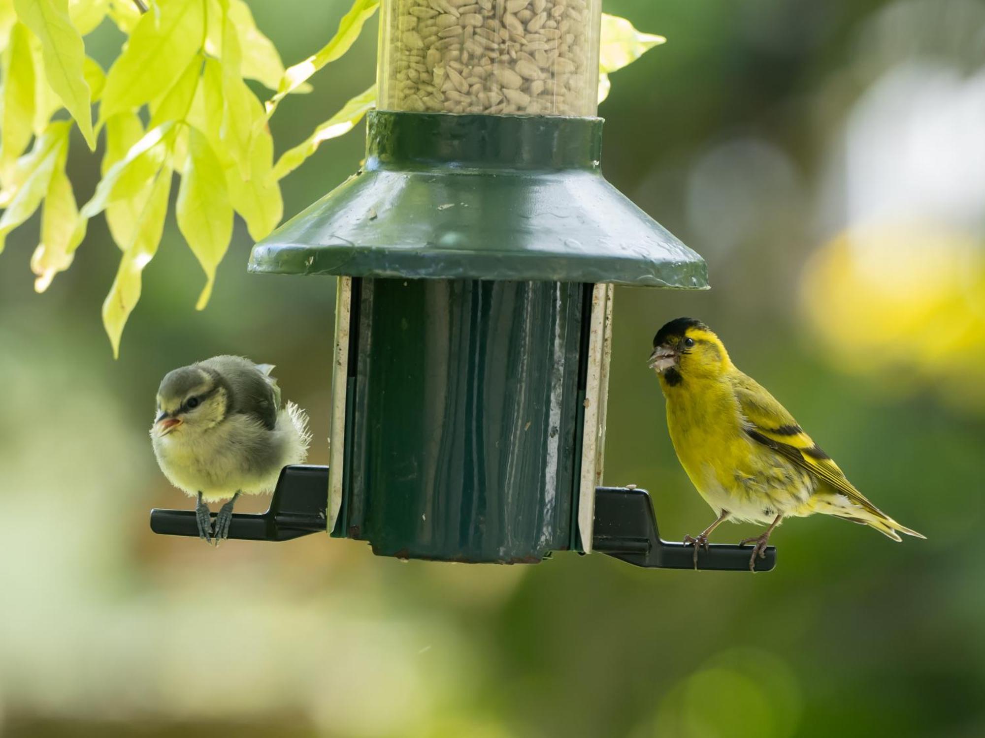 Wildwood B&B Lymington Ngoại thất bức ảnh